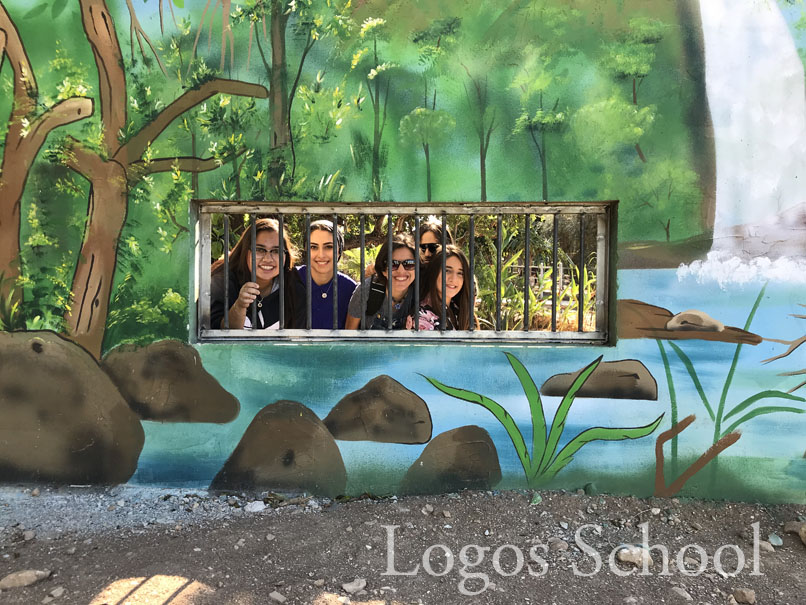 Secondary Zoo Trip