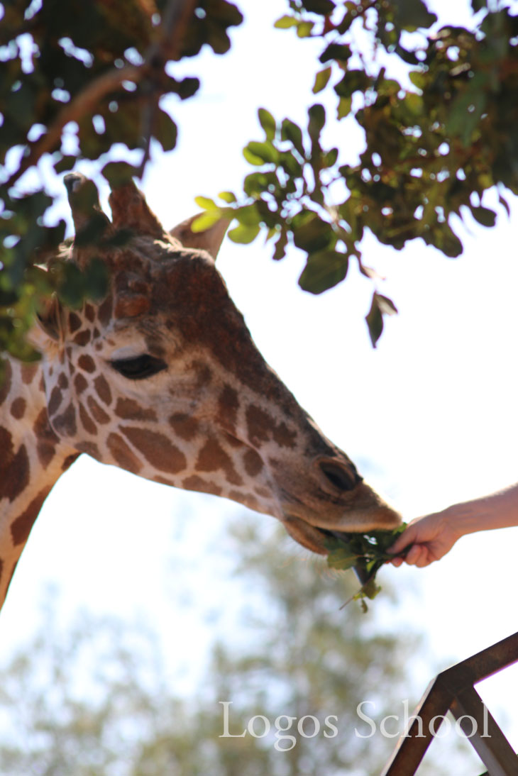 Secondary Zoo Trip