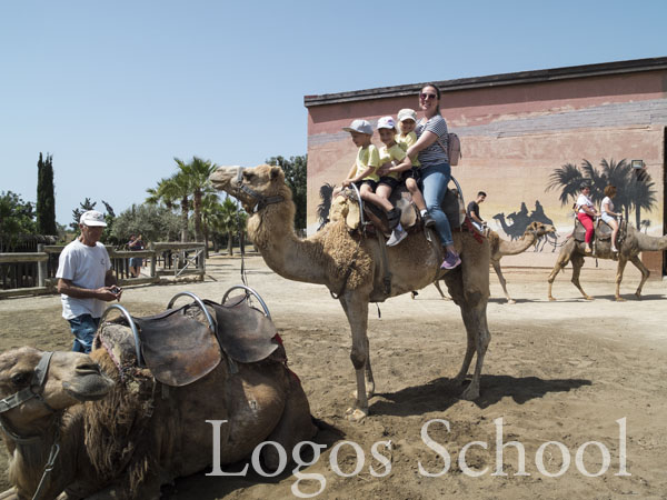 Kindergarten Camel Park