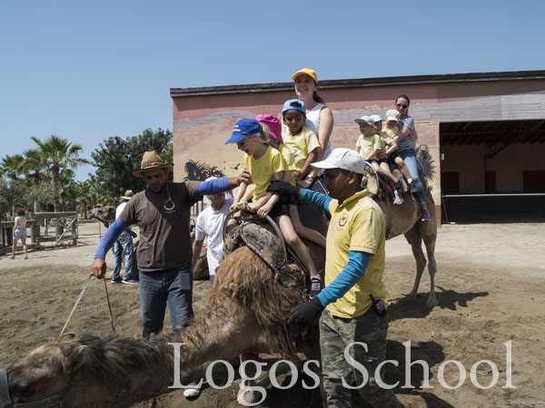 Kindergarten Camel Park