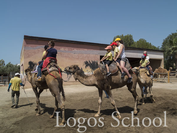 Kindergarten Camel Park