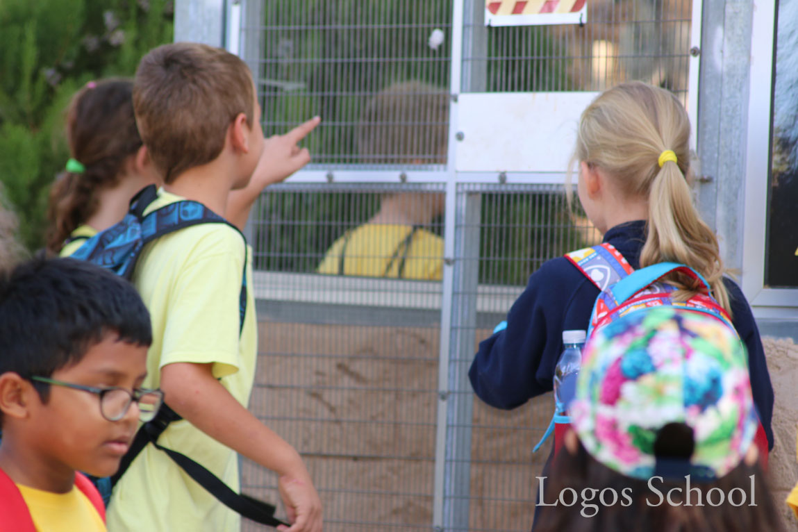 Primary Zoo Trip