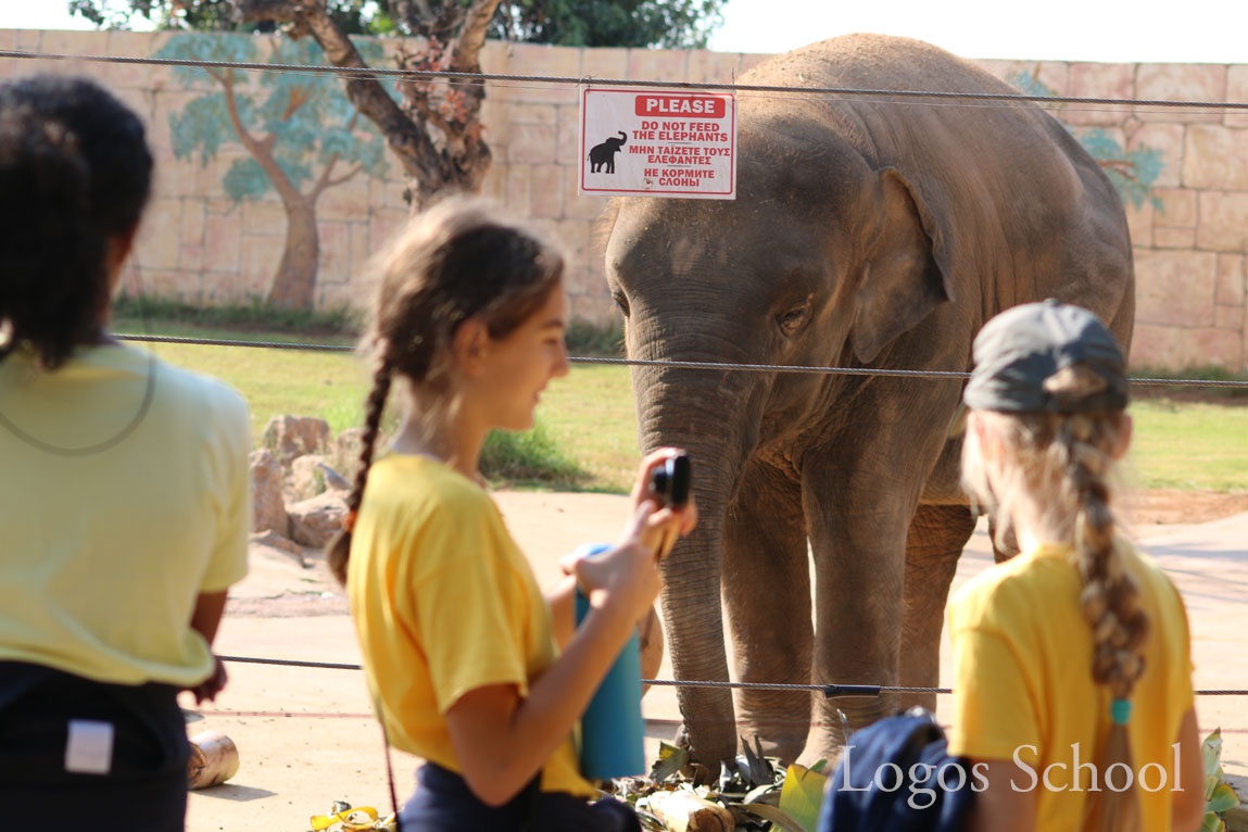 Primary Zoo Trip