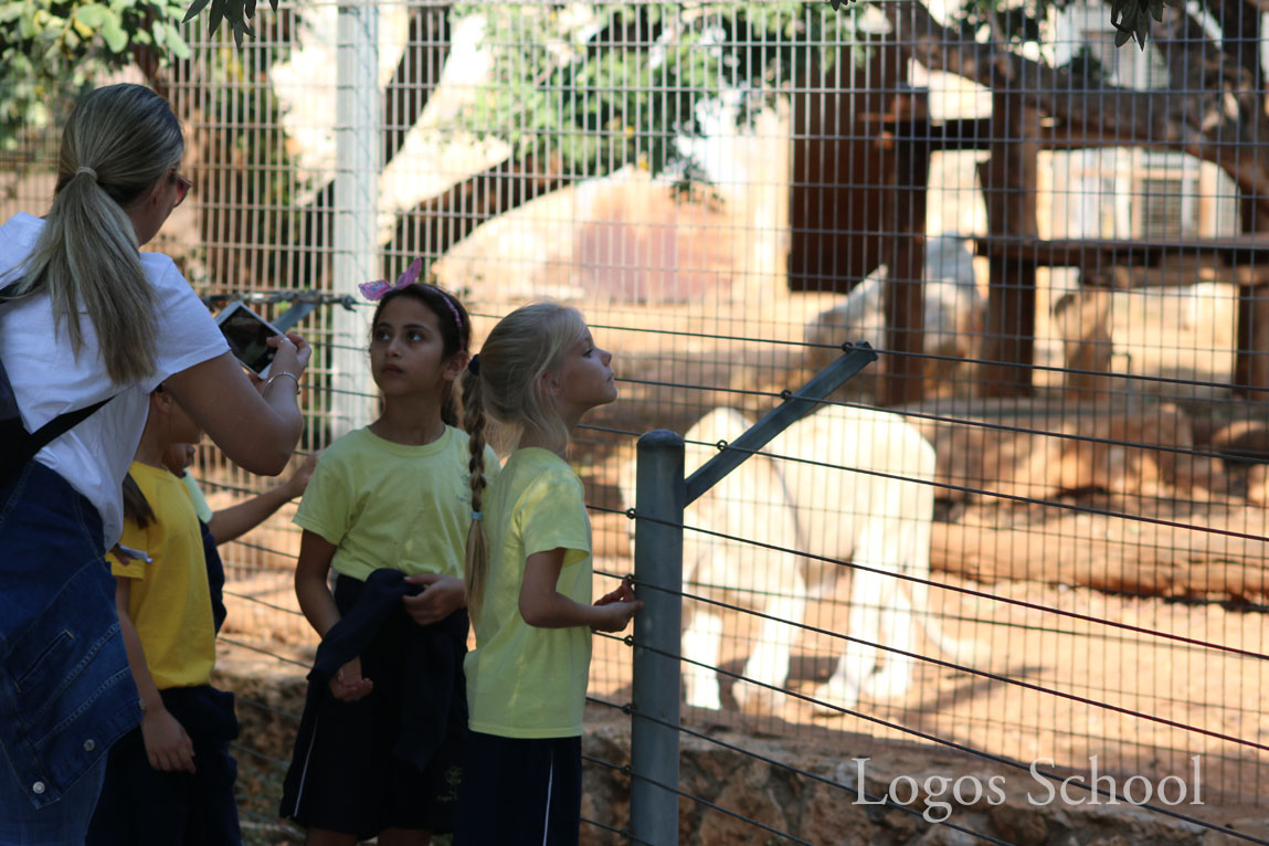 Primary Zoo Trip