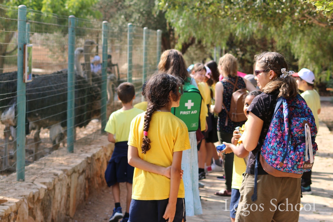 Primary Zoo Trip